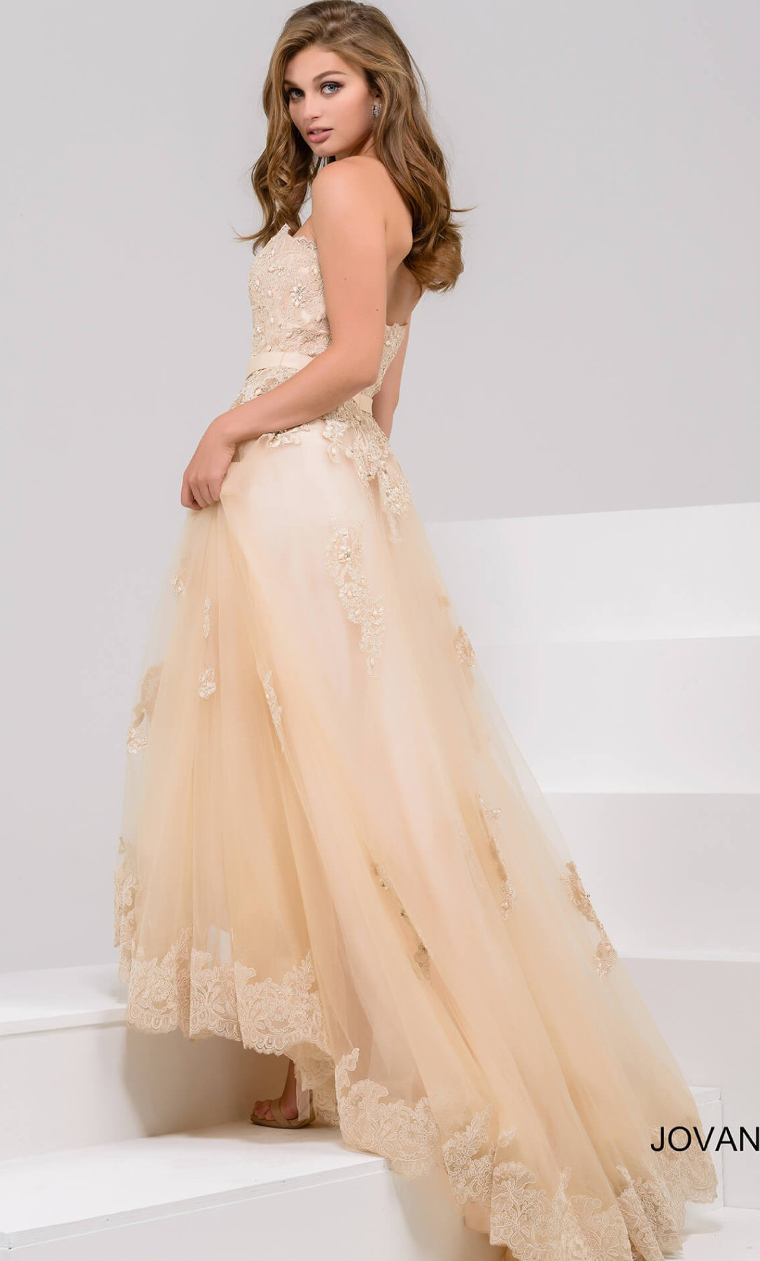 Vestido con aplicaciones de encaje color champagne - Laila's Dress