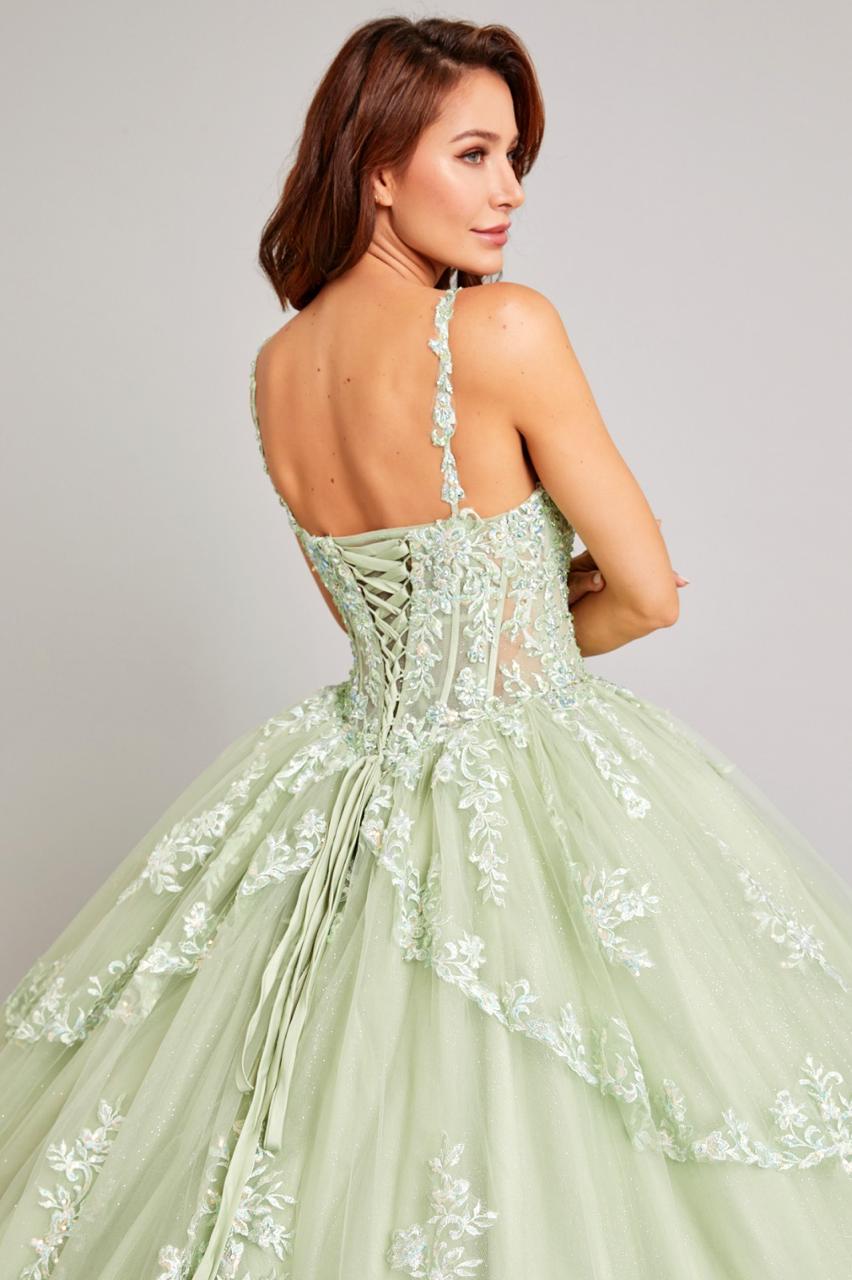 Vestido De XV Años Sage Modelo WF12338