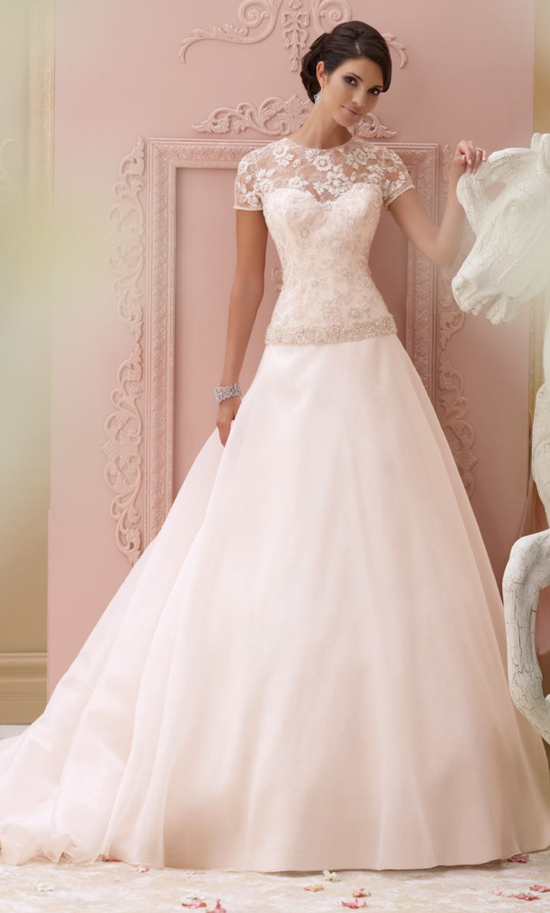 Vestido de novia strapless princesa - Laila's Dress