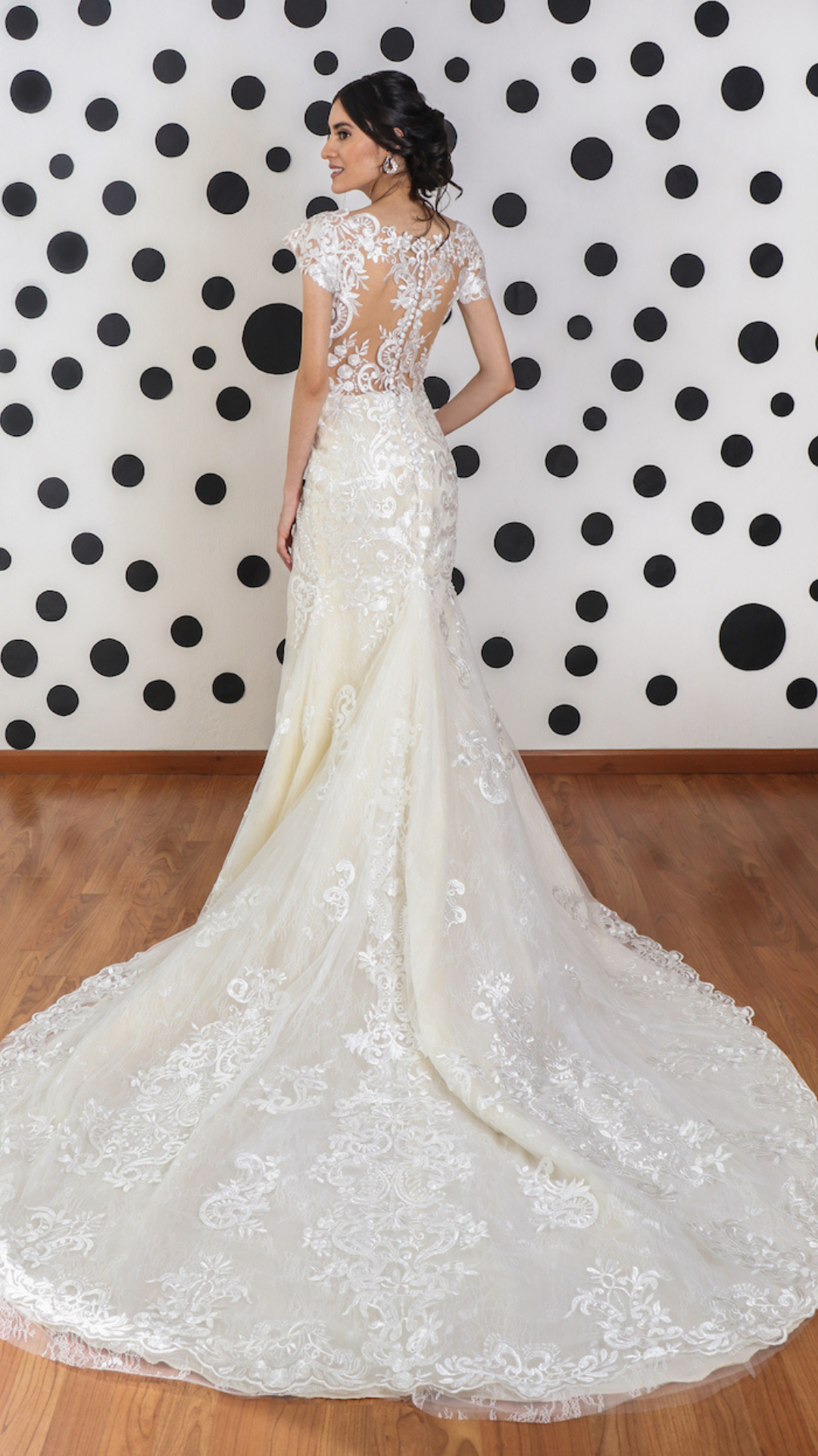 Vestido de novia corte sirena con manga corta y escote oasis